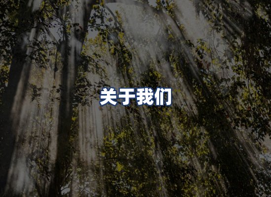 关于我们