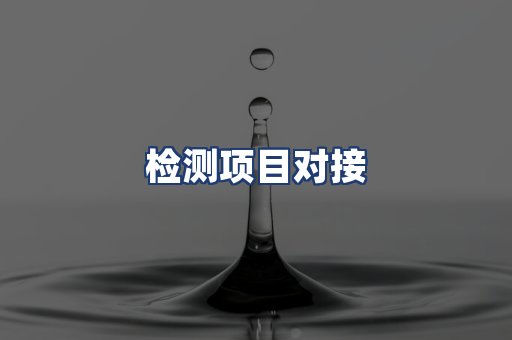 检测项目对接